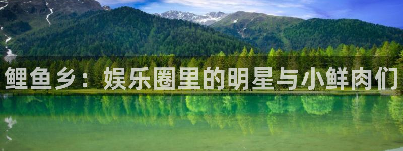焦点娱乐网