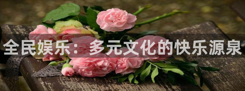 小焦点娱乐