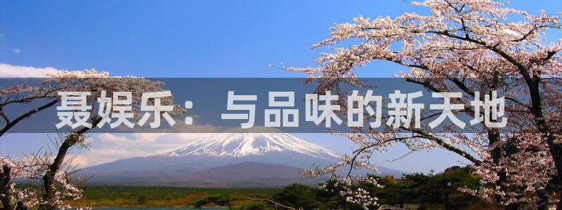 焦点娱乐