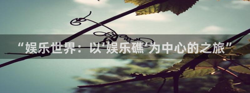 焦点娱乐平台