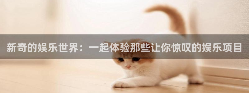 焦点娱乐网