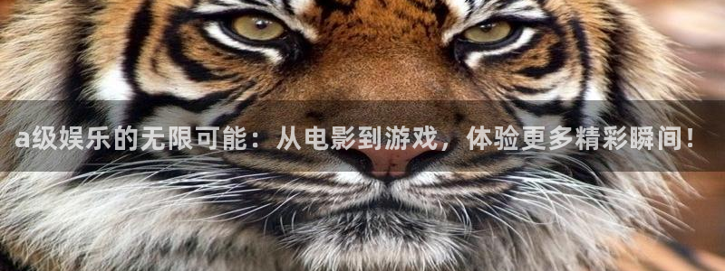 焦点娱乐登录地址