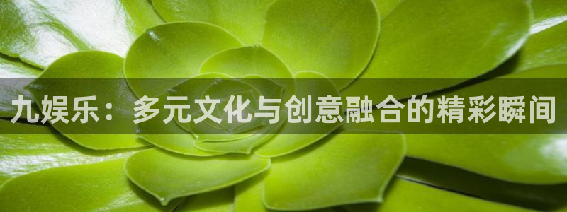焦点娱乐登录地址