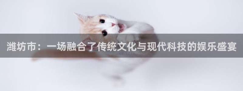 小焦点娱乐